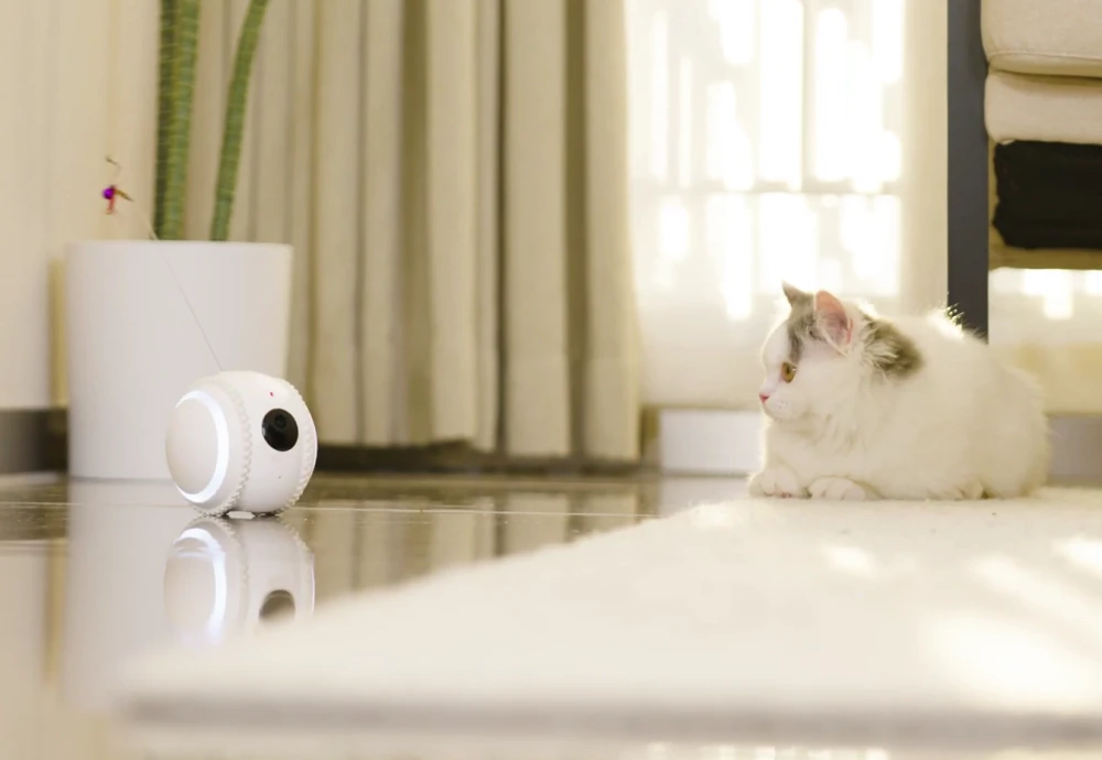 camera to keep an eye on pets