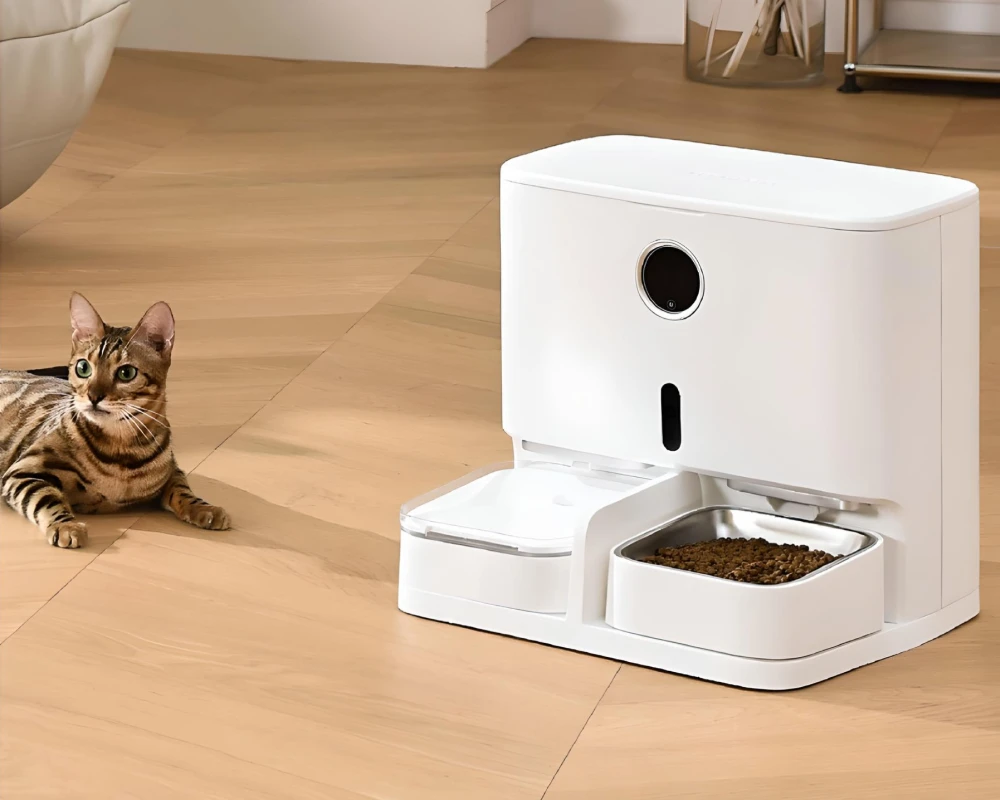 cat feeder with camera