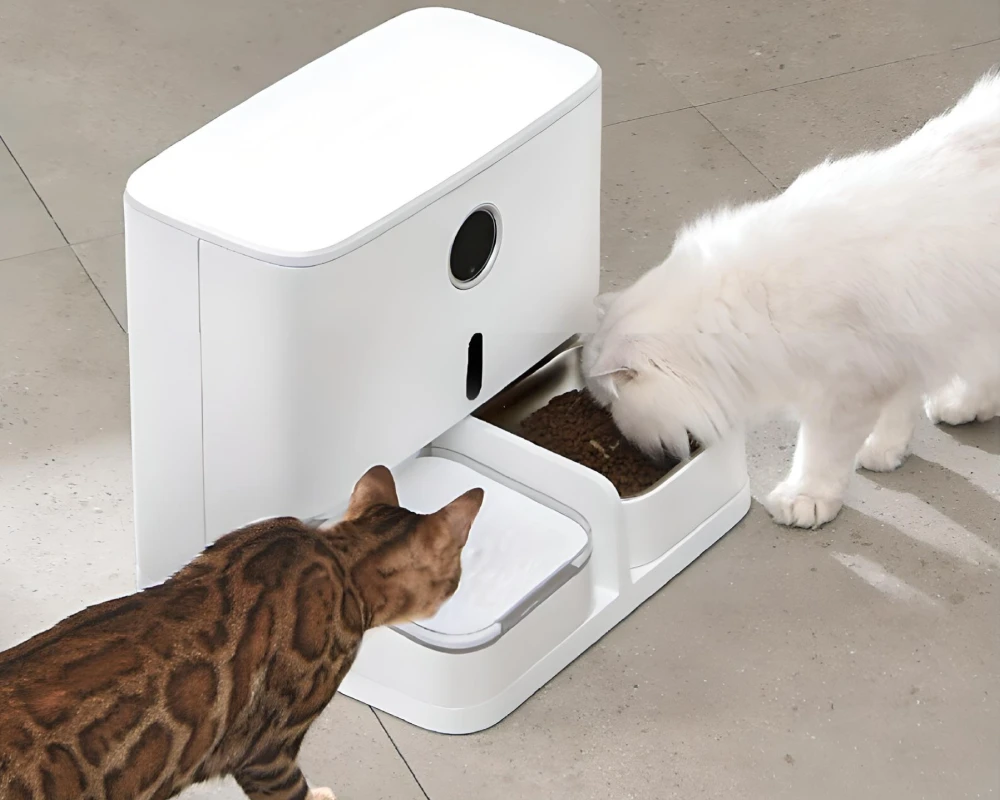 automatic pet feeder and water dispenser