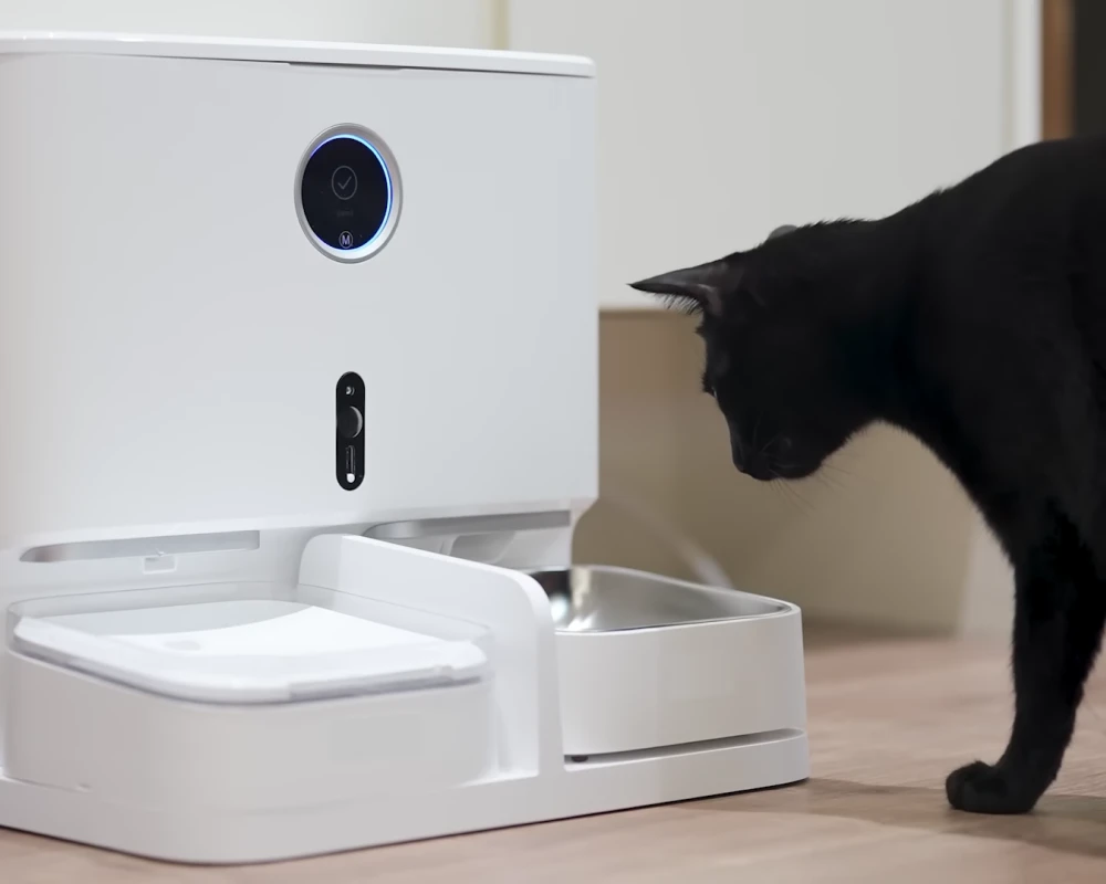 robot automatic pet feeder